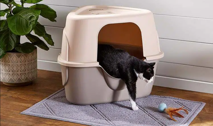 Bac a litière et maison de toilette