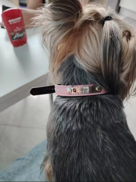 Collier en cuir personnalisé pour chat