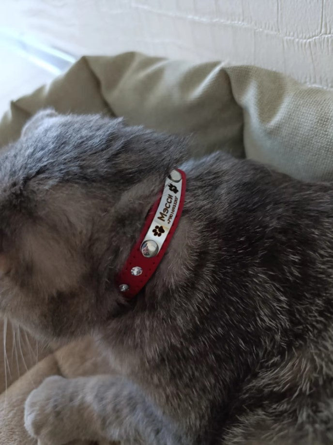 Collier en cuir personnalisé pour chat