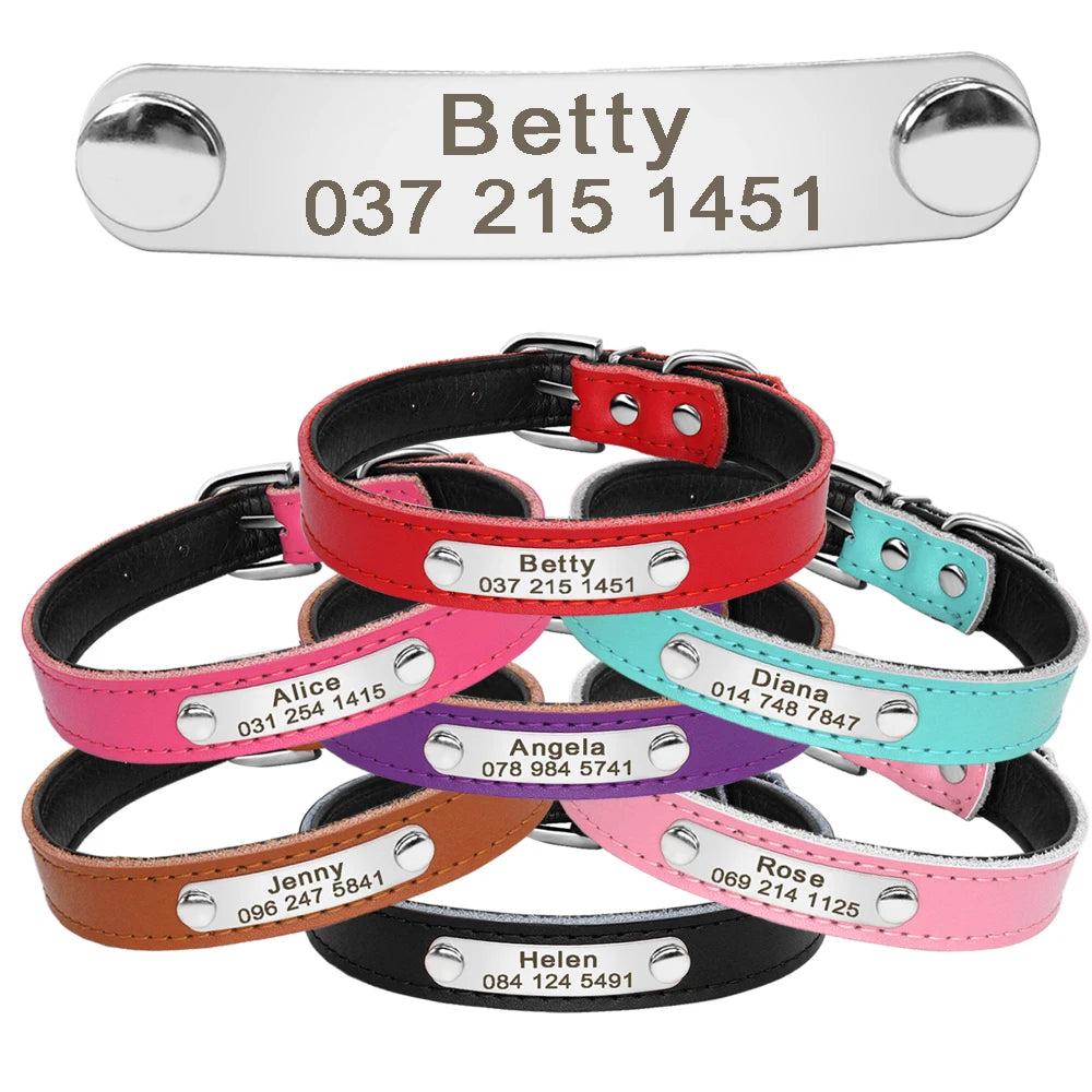 Collier en cuir personnalisé pour chat