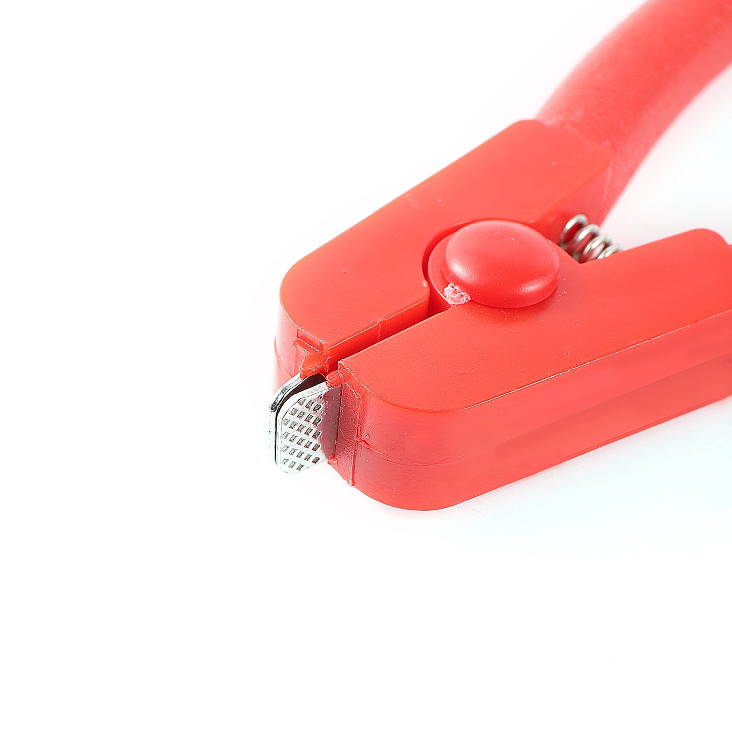 Pince pour bague électronique de patte d'oiseau