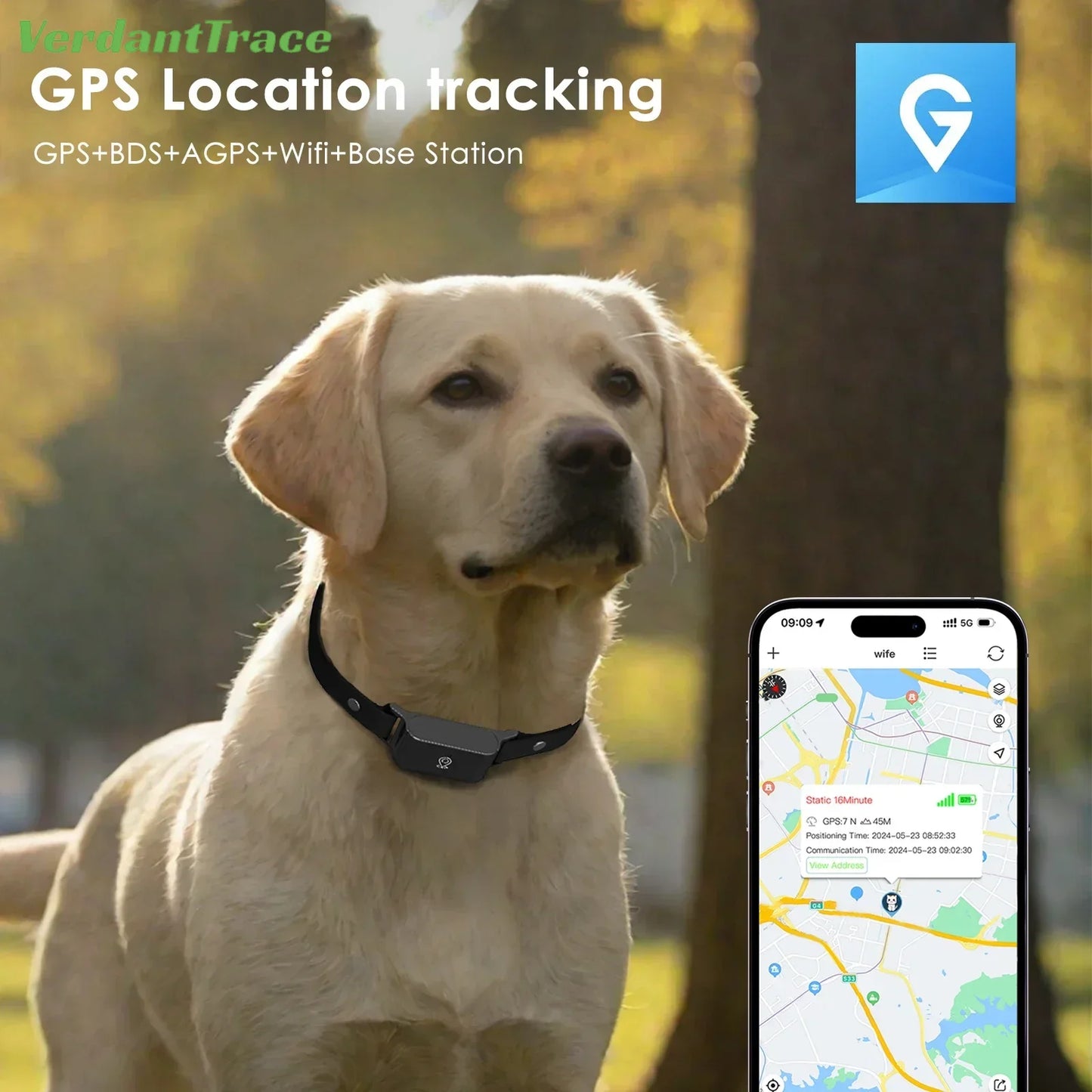 Collier de suivi GPS pour animaux, étanche IP67, 4G, anti-perte, en temps réel