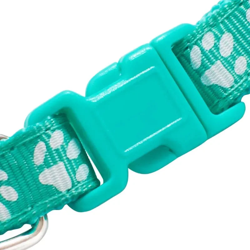 Collier réglabe pour chat