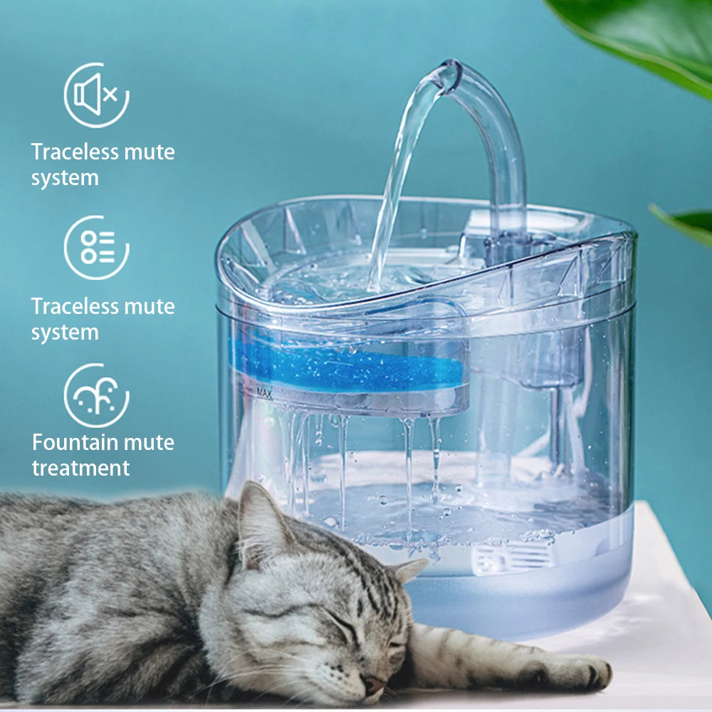 Distributeur d'eau transparent pour chat avec capteur d'automatisation