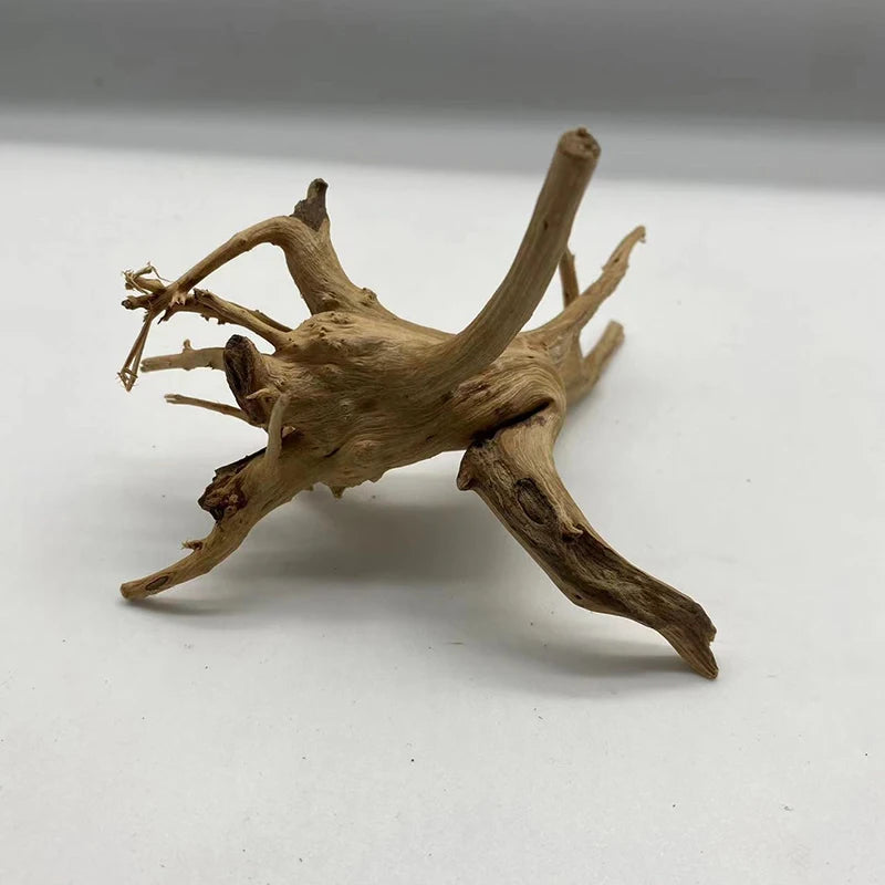 Tronc d'arbre naturel en bois flotté pour aquarium, forme aléatoire