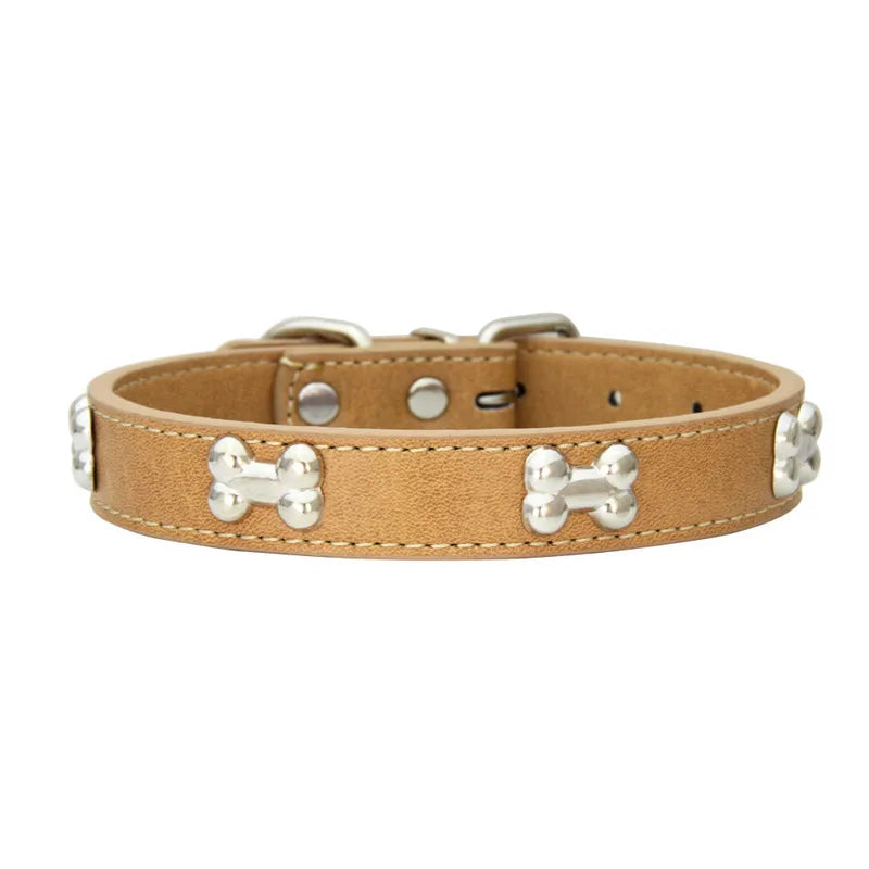 Collier en cuir avec ornement pour chien