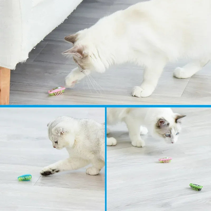 Jouet automatique pour chat rampant électrique