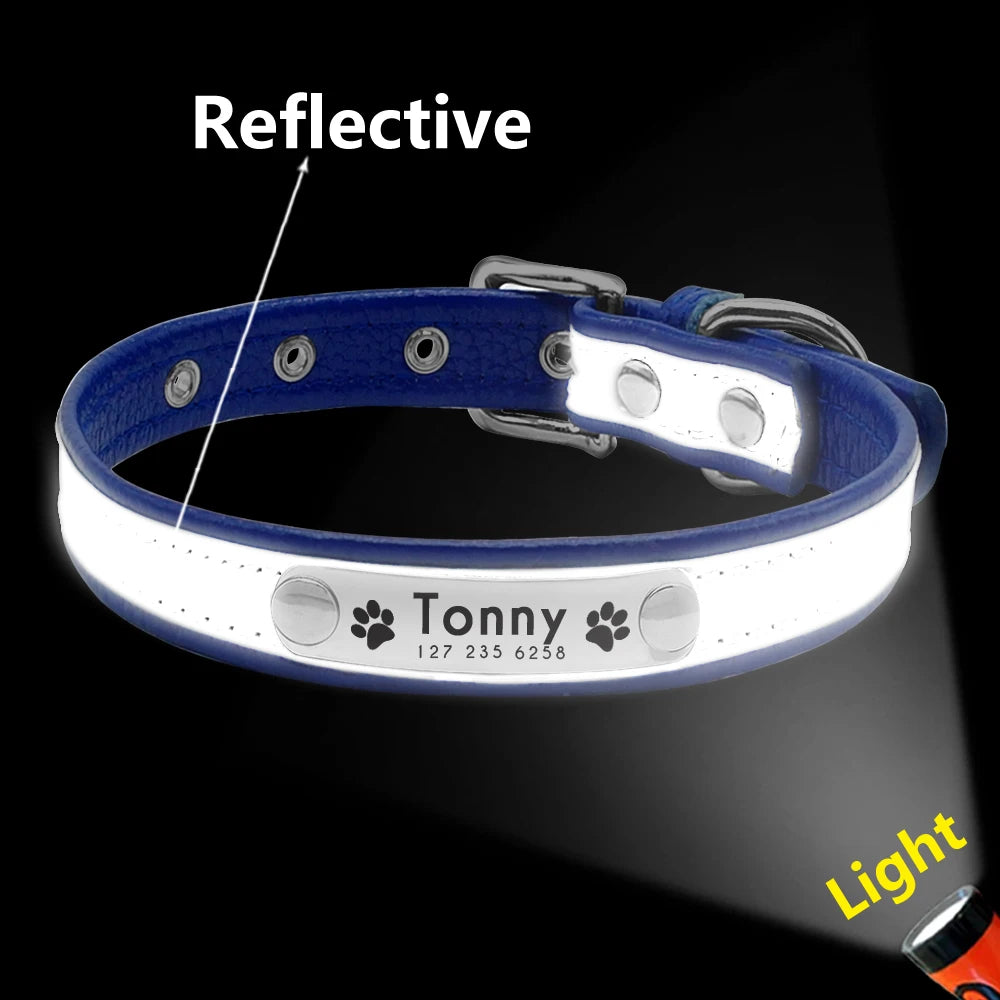 Collier en cuir personnalisé pour chat