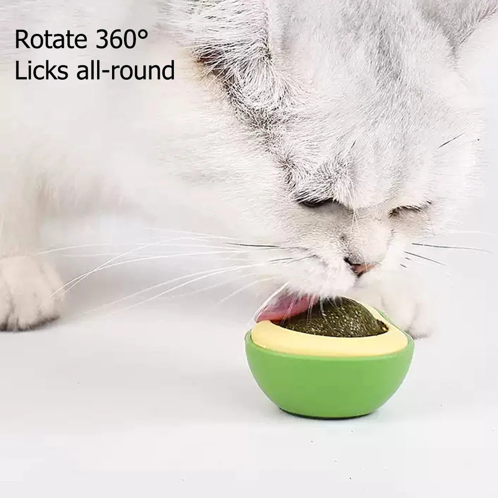 Jouet à l'herbe à chat en forme d'avocat. Boule murale rotative