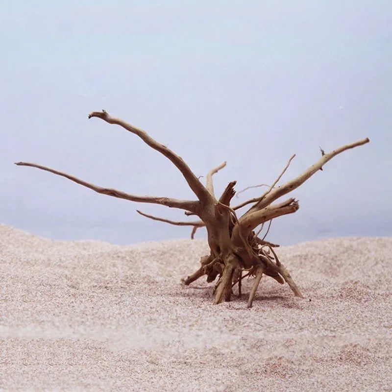 Tronc d'arbre naturel en bois flotté pour aquarium