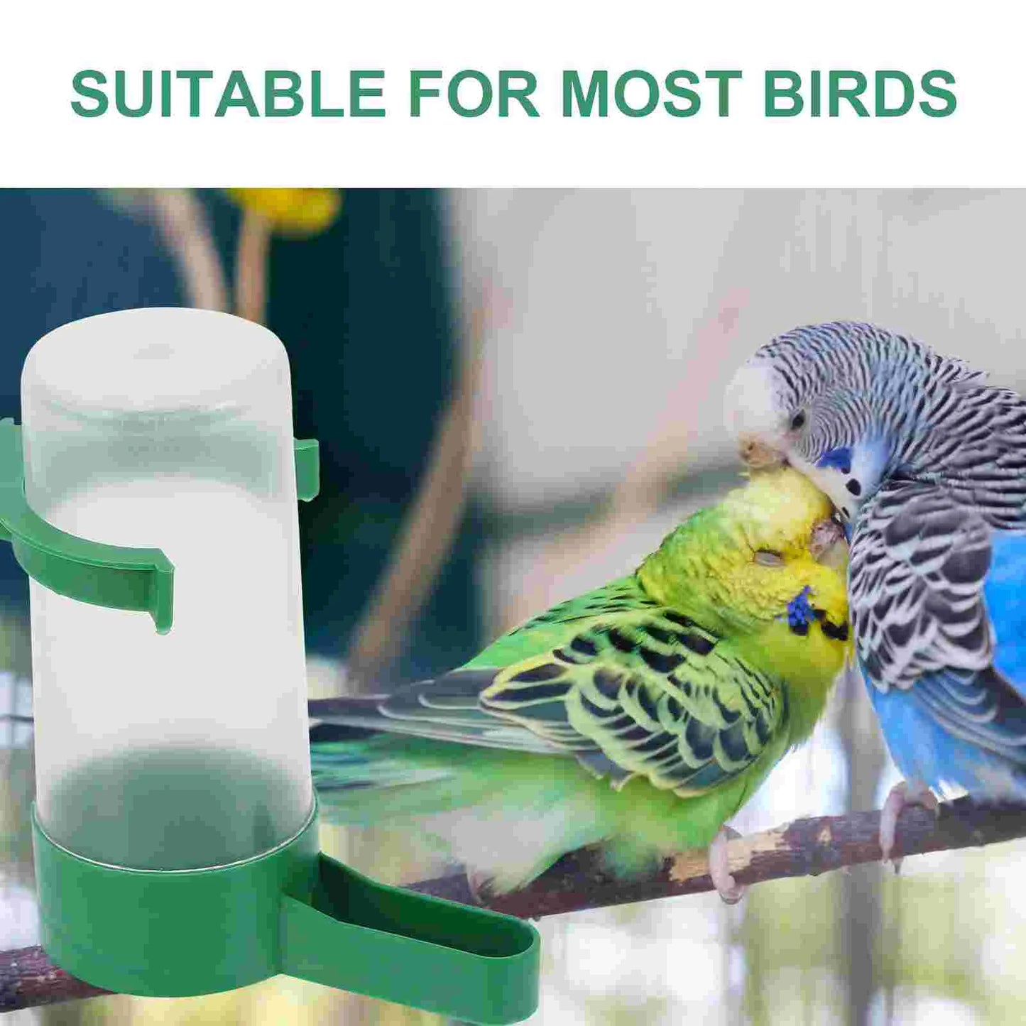 10 distributeurs à eau pour oiseaux