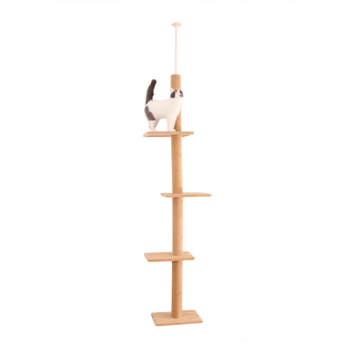 Arbre à chat réglable en hauteur 239-275cm