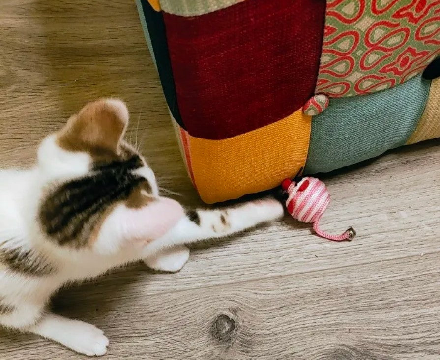 Jouet pour chat en forme de sourie en nylon rayé