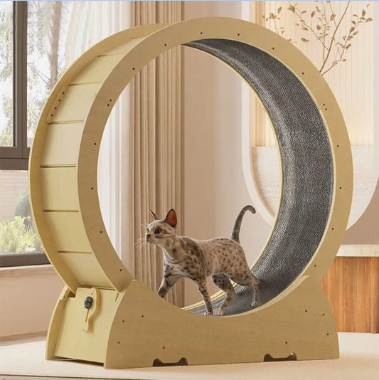 VEVOR Roue d'exercice pour chat en bois naturel, jouet de course silencieux, tapis roulant