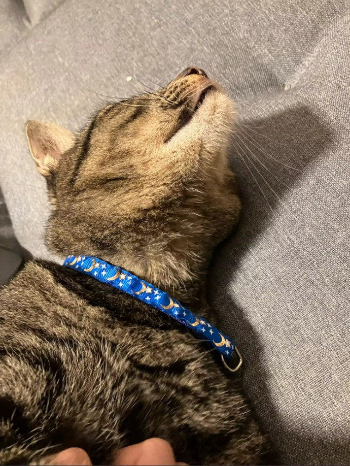 Collier pour chien et chat avec imprimé lune et étoile