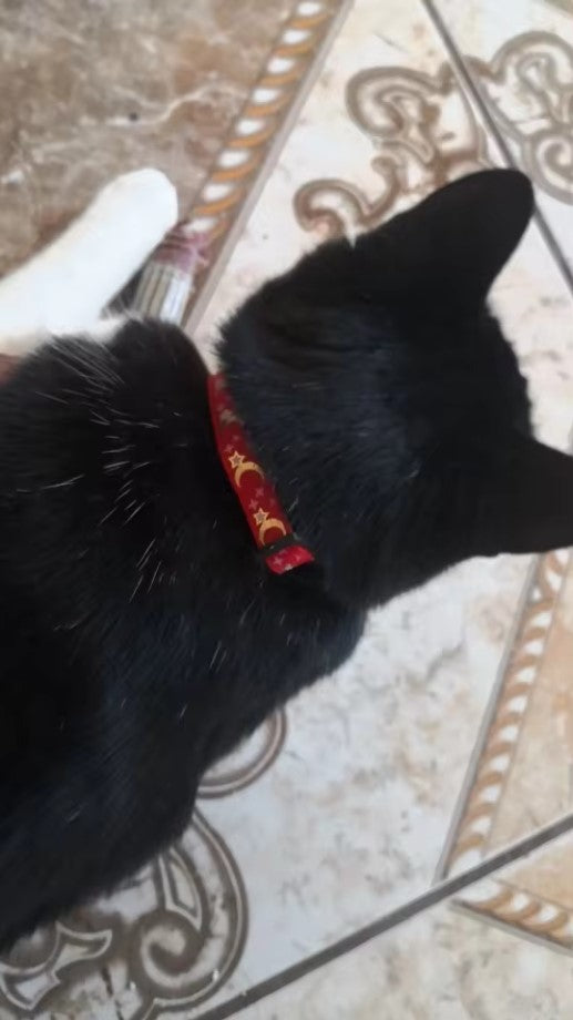 Collier pour chien et chat avec imprimé lune et étoile