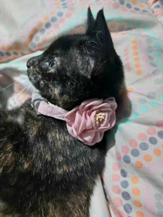 Collier en coton et lin, orné d'une fleur en 3D pour chat et petit chien