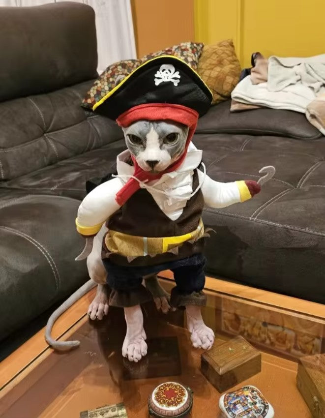 Costumes amusants pour petit chien et chat