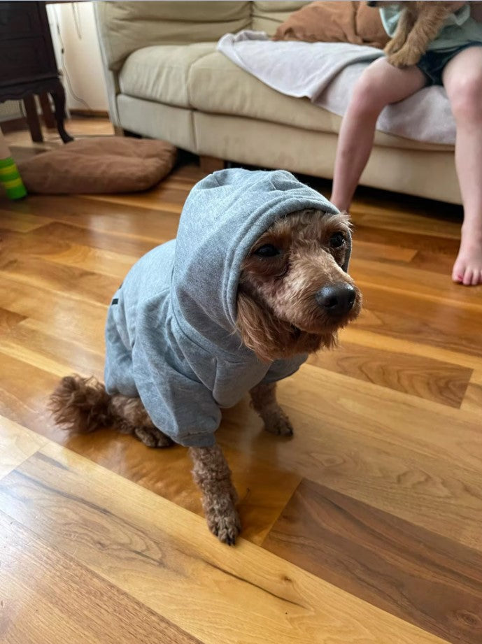 Sweat-shirt Fishbone pour animaux de compagnie&nbsp;