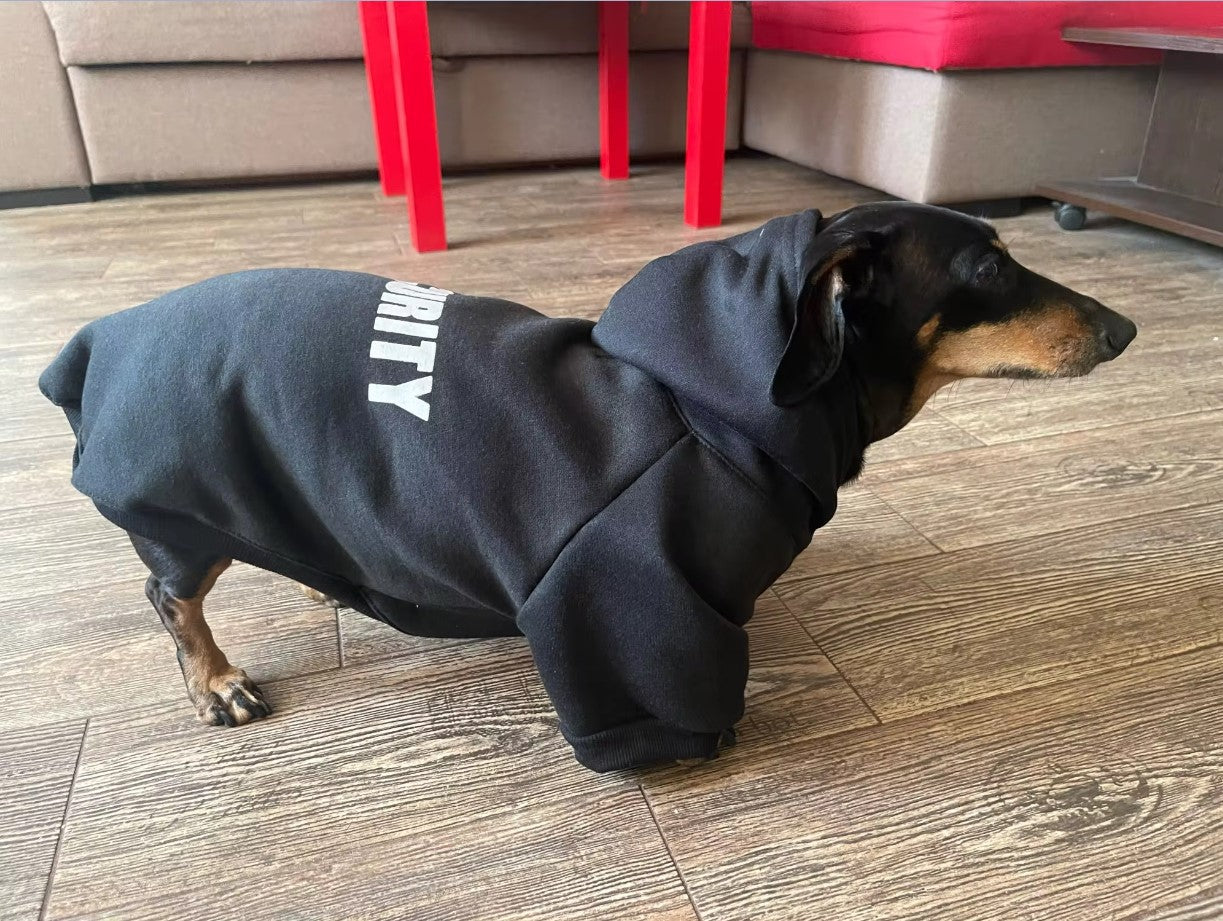 Pull Security style streatwear pour animaux de compagnie