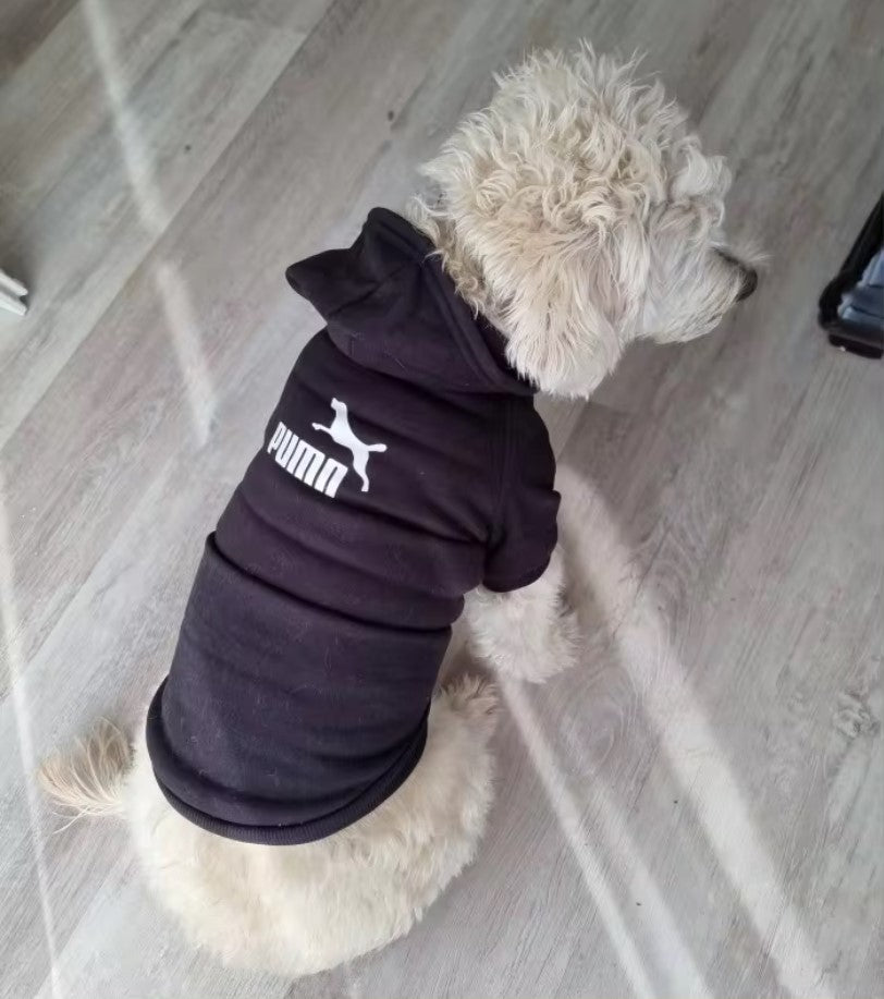 Pull PUMDOG fashion pour chien