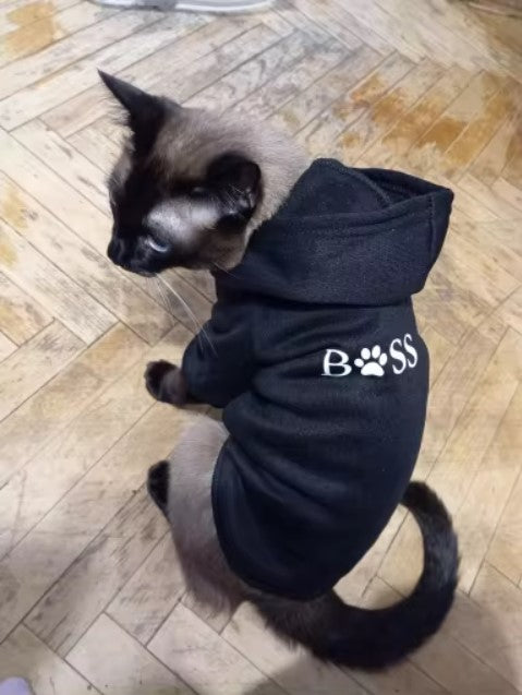 Pull streatwear BOSS pour chat et chien