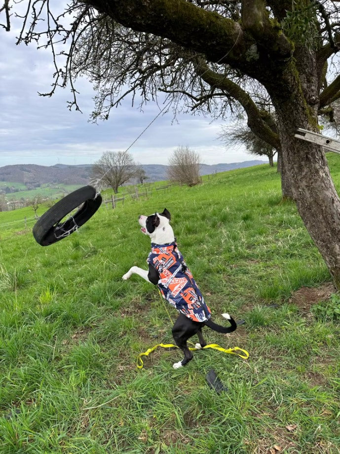 Veste d'hiver chaude et imperméable pour chien