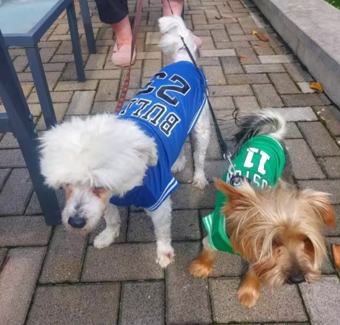 Gilet Basketball US pour chien et chat