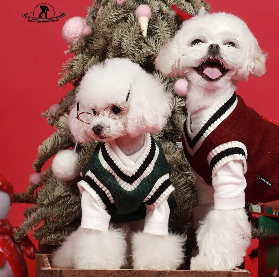 Gilet chic d'hiver pour chat et petit chien