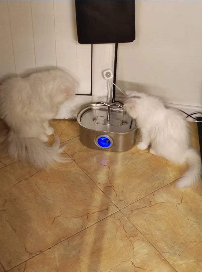 Fontaine à eau en acier inoxydable LED pour chat et chien