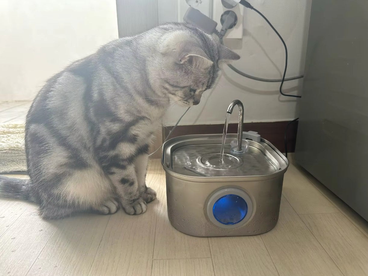 Fontaine à eau en acier inoxydable avec LED pour chien et chat