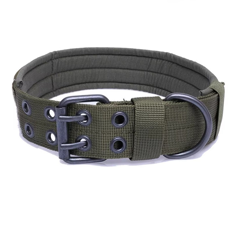 Collier réglable style militaire tactique pour chien