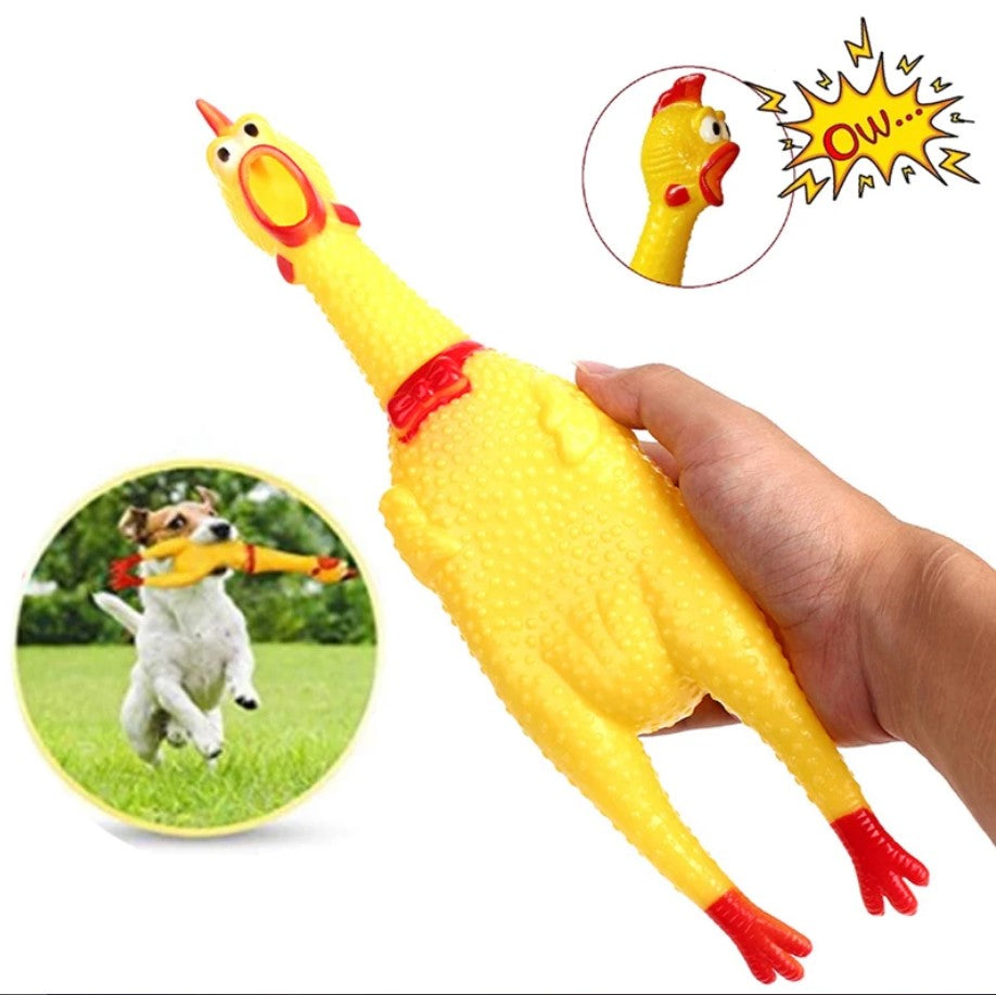 Poulet hurlant, jouet  couineur pour chien