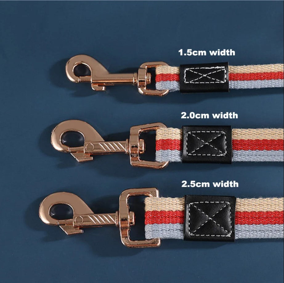 Laisse style tennis en toile pour chien