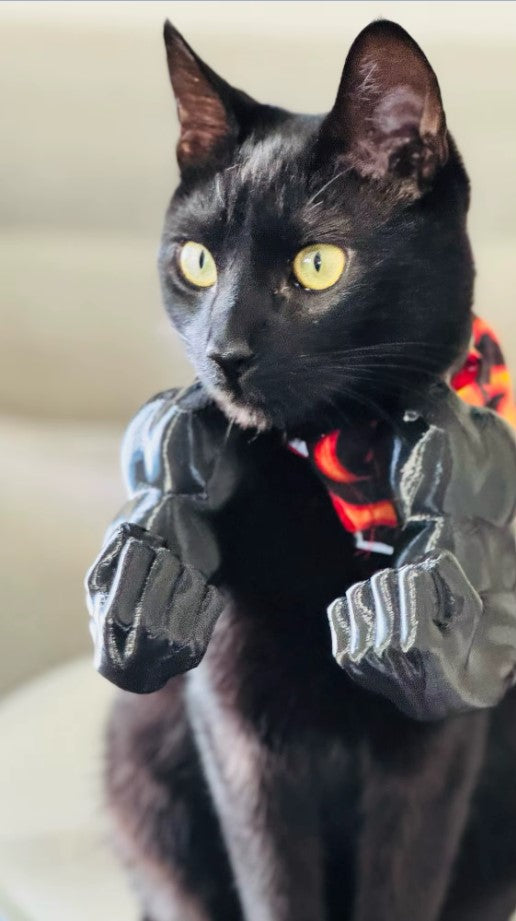 Bras musculaire imprimé en 3D. Cosplay pour chat