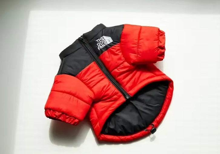 Veste d'hiver, coupe-vent pour chiens