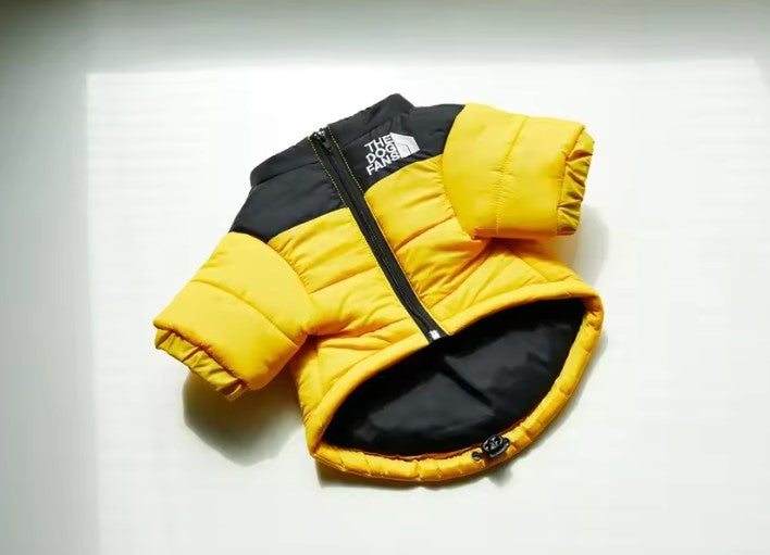 Veste d'hiver, coupe-vent pour chiens