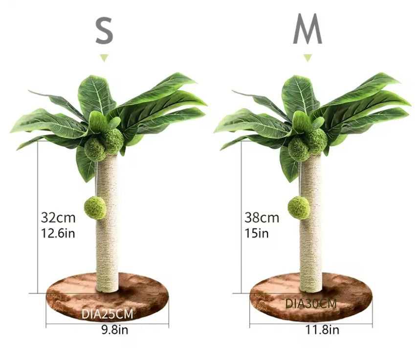 Arbre à chat mignon plante verte