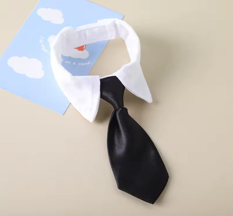 Cravate pour chat et petit chien