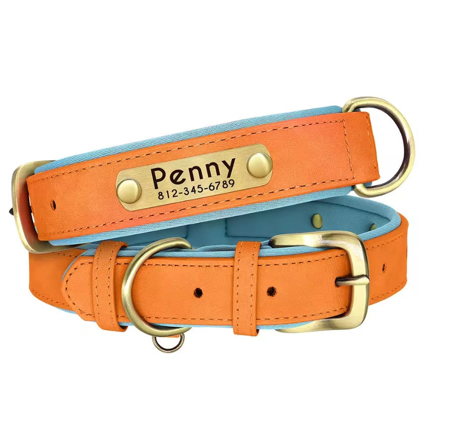 Collier personnalisé en cuir pour chien