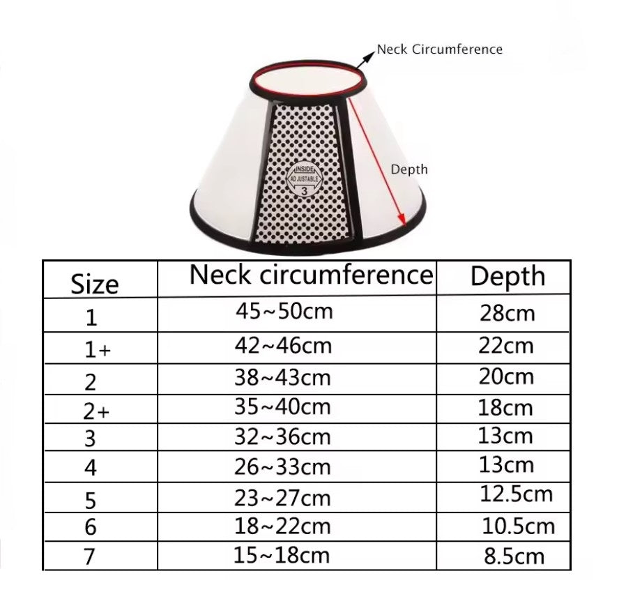 Collier de protection, cône élisabéthain pour animaux de compagnie