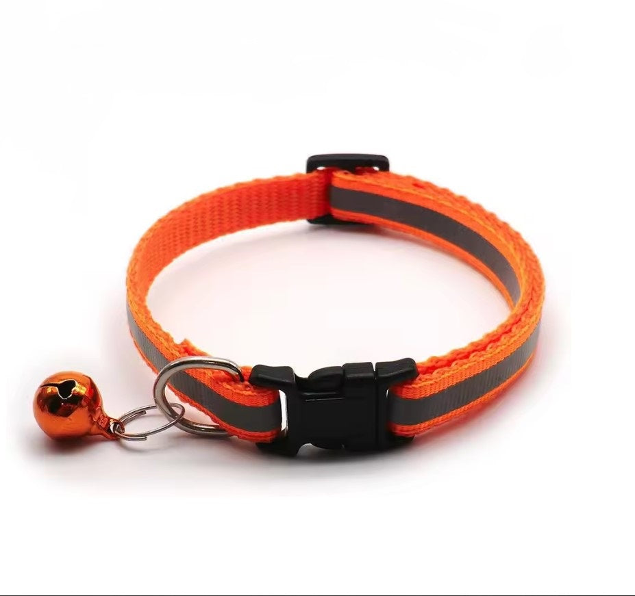 Collier réfléchissant pour chat