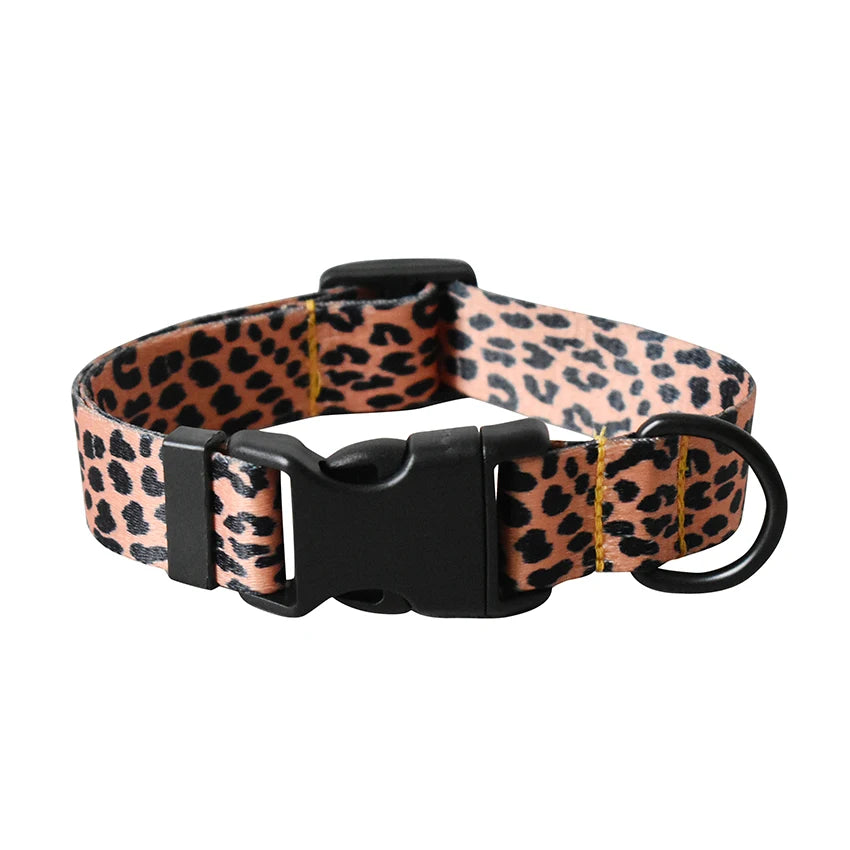 Collier, motif au choix pour chien