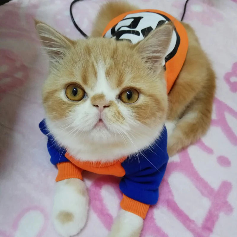 Pull Goku manga pour chat et petit chien