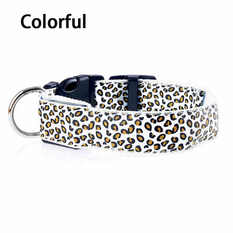 Collier en nylon pour chien avec lumière LED
