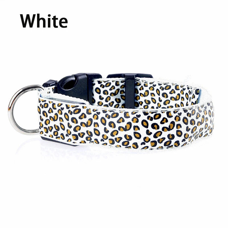 Collier en nylon pour chien avec lumière LED