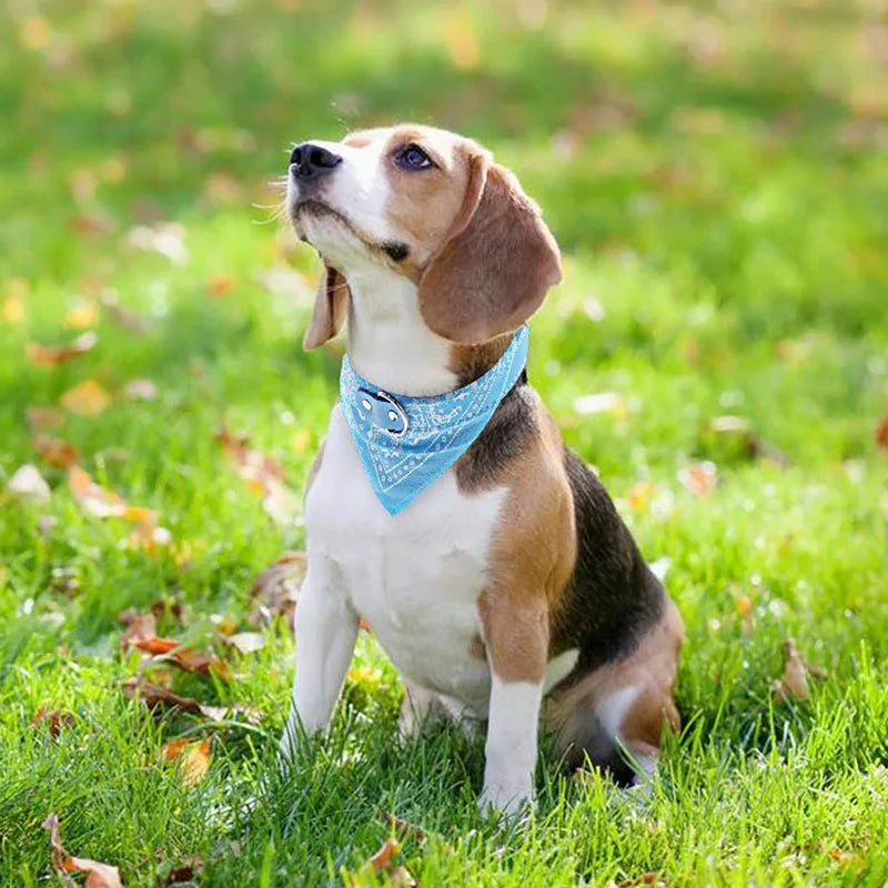 Collier bandana  pour  chien et chat