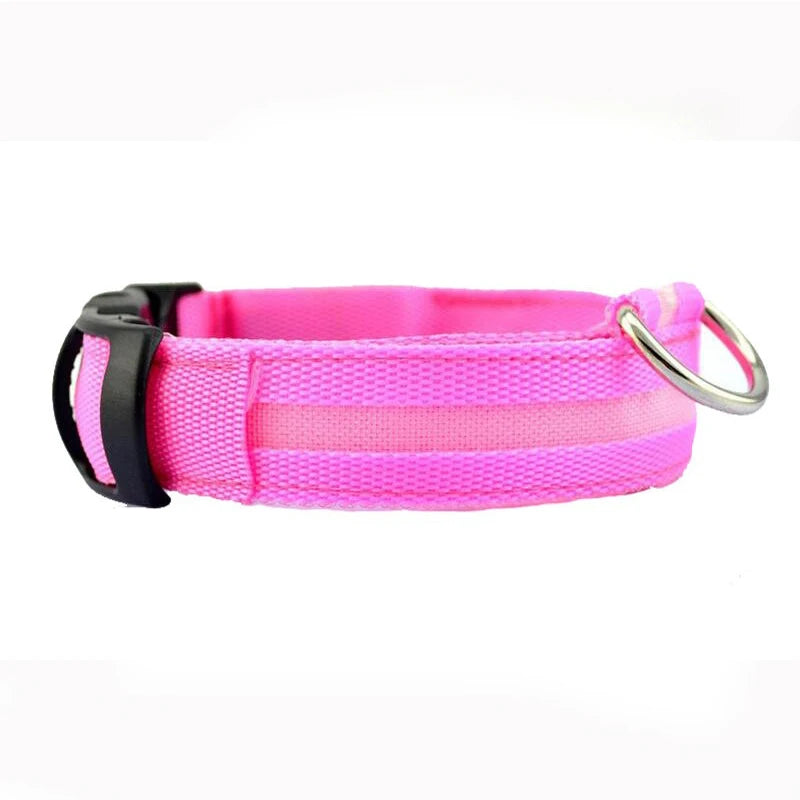 Collier en nylon pour chien avec lumière LED
