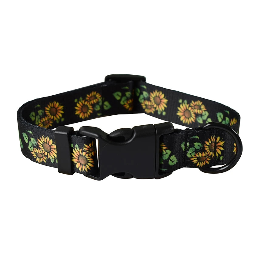 Collier, motif au choix pour chien