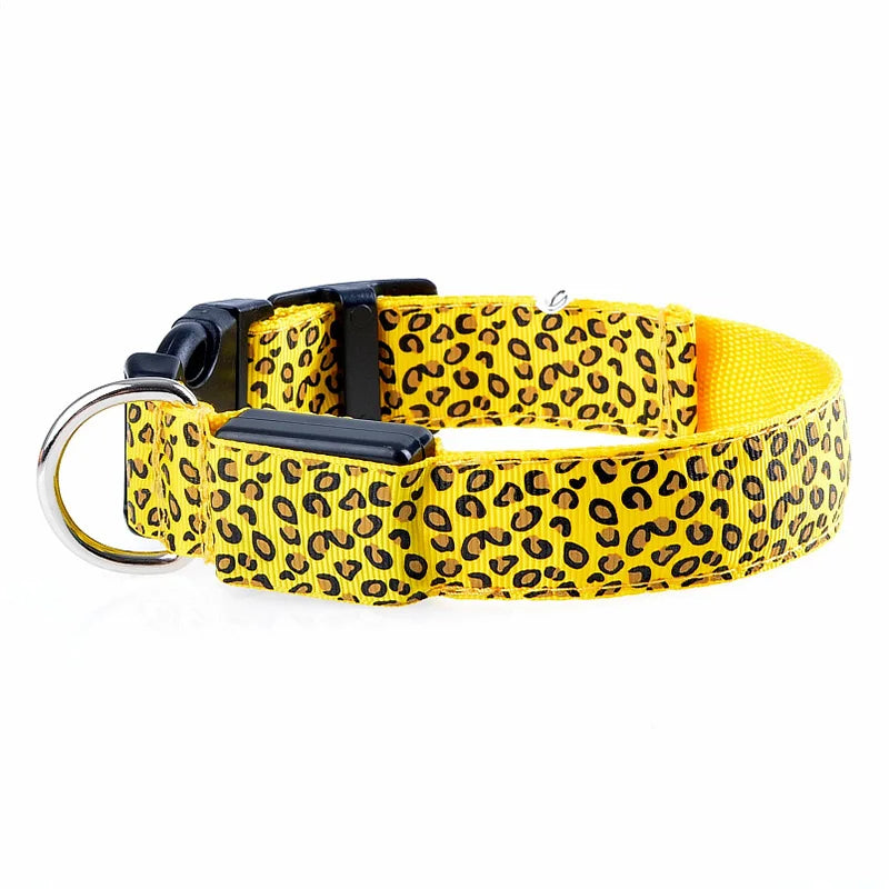 Collier en nylon pour chien avec lumière LED